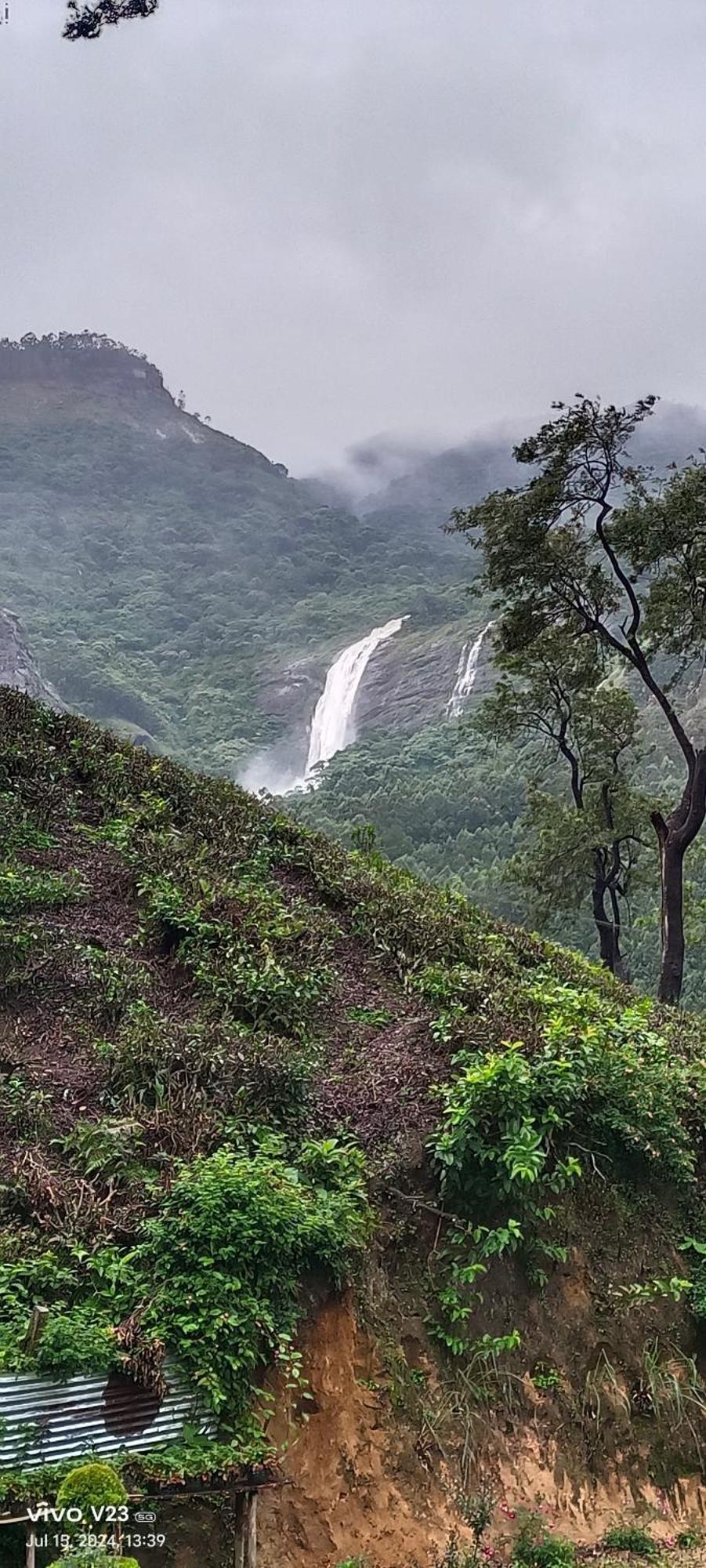 Homestay Munnar Home Stay Munnar