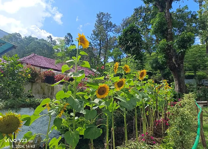 Munnar Home Stay