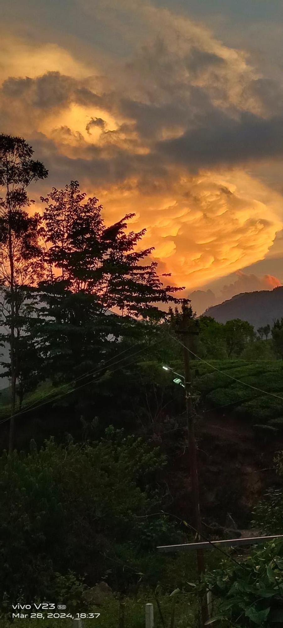 Munnar Home Stay Homestay