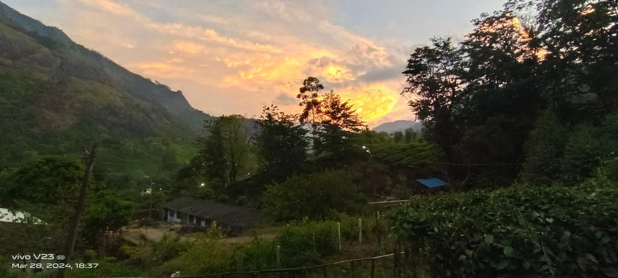 Munnar Home Stay *