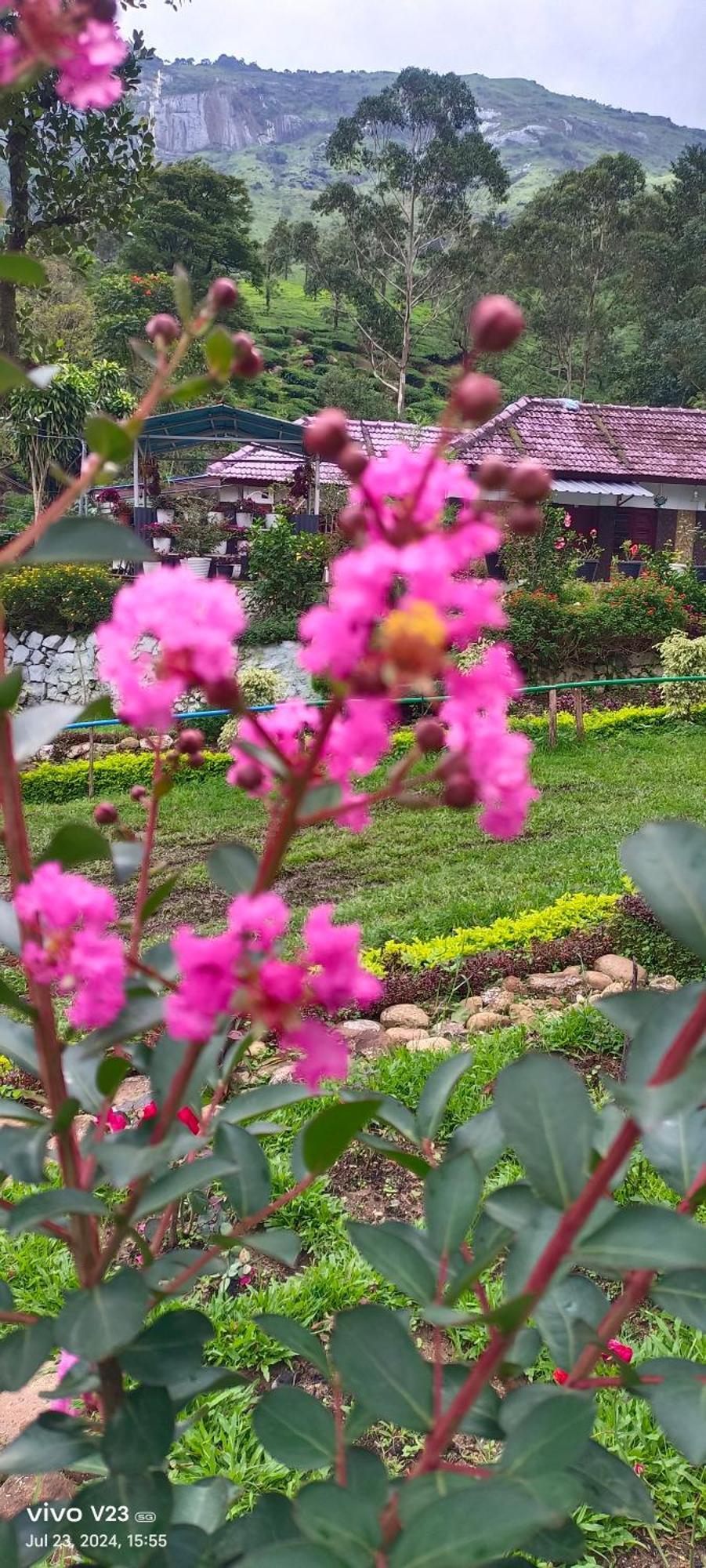 Homestay Munnar Home Stay Munnar
