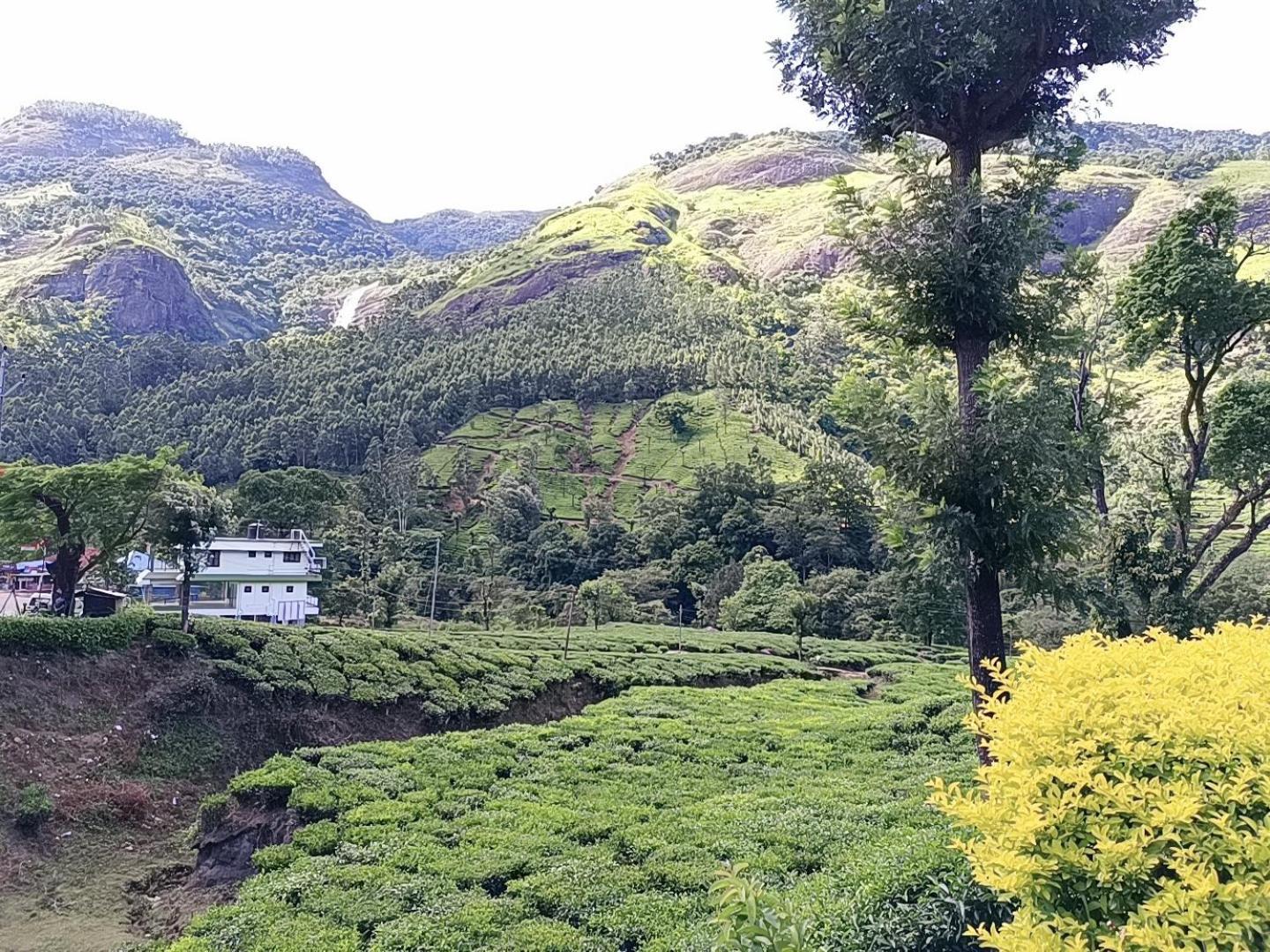 Homestay Munnar Home Stay