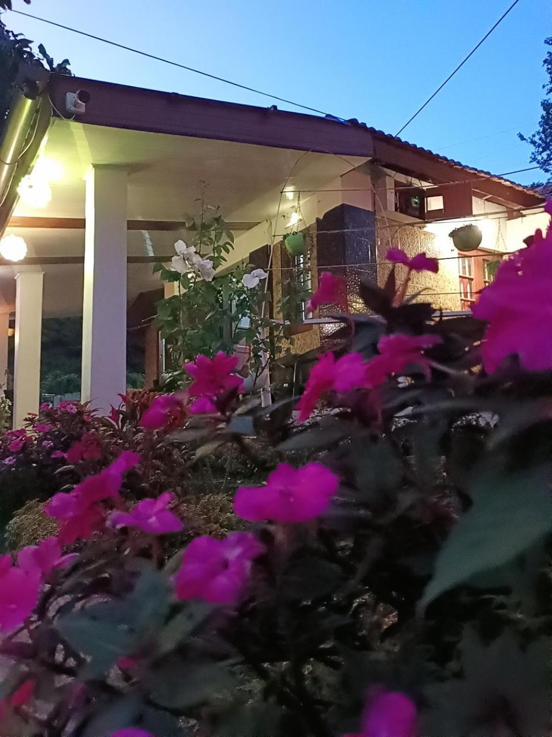 Munnar Home Stay *