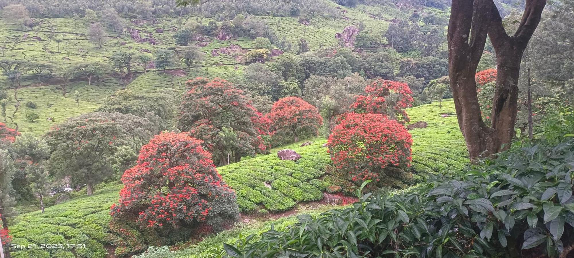 Homestay Munnar Home Stay *