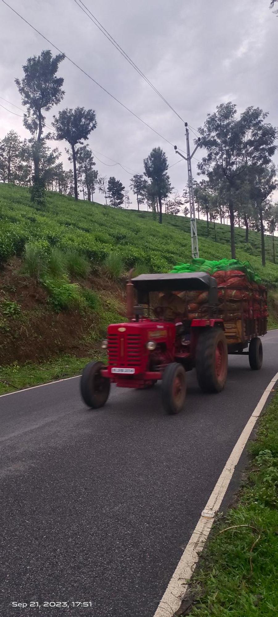 Munnar Home Stay Homestay Munnar