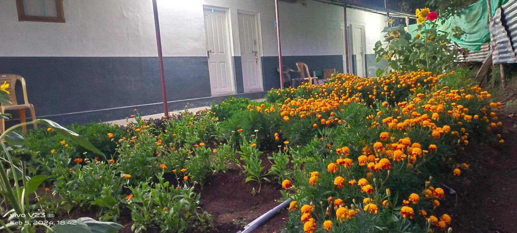 Munnar Home Stay