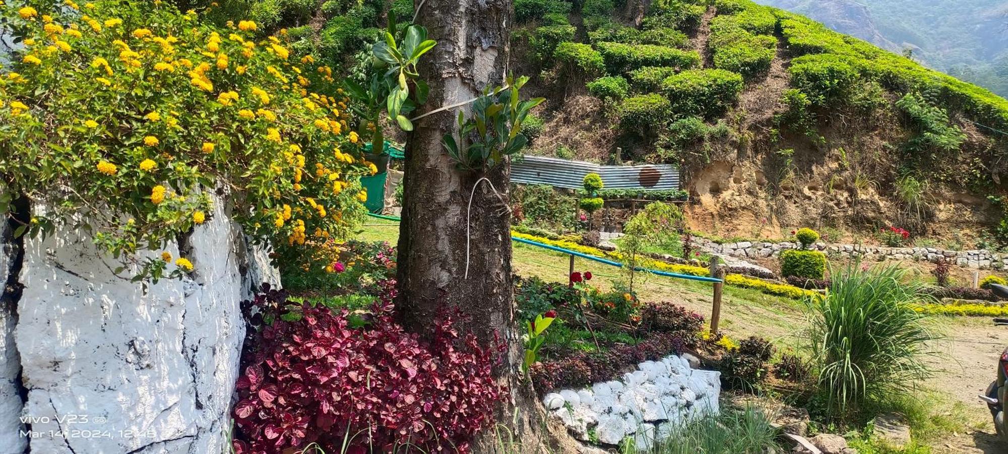 Munnar Home Stay Homestay *
