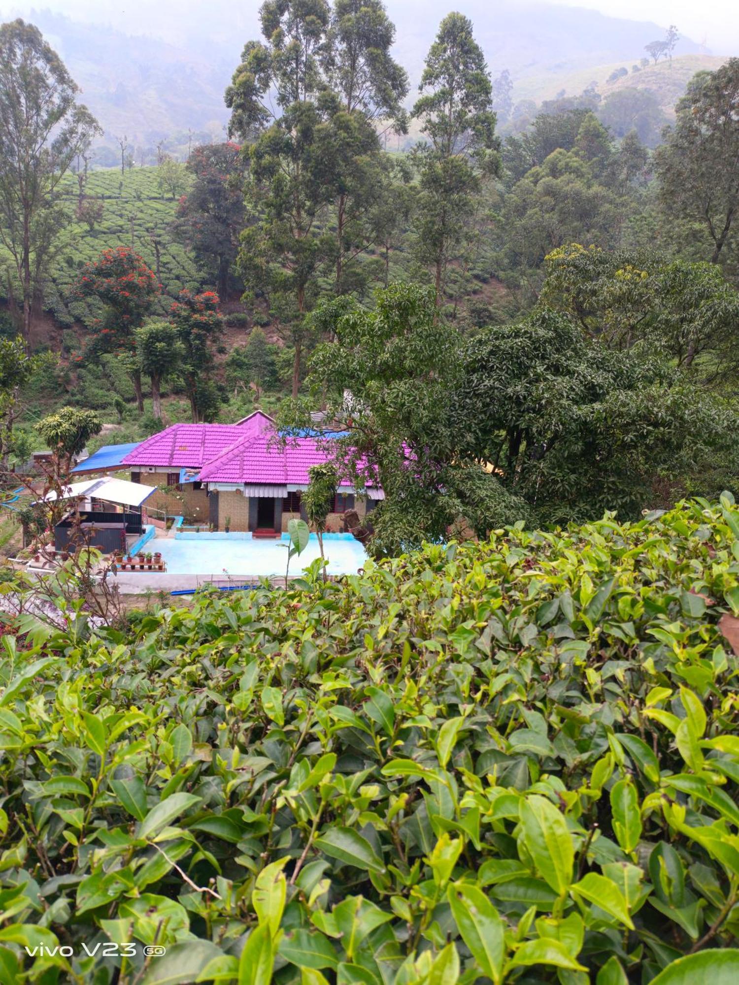 Homestay Munnar Home Stay Munnar