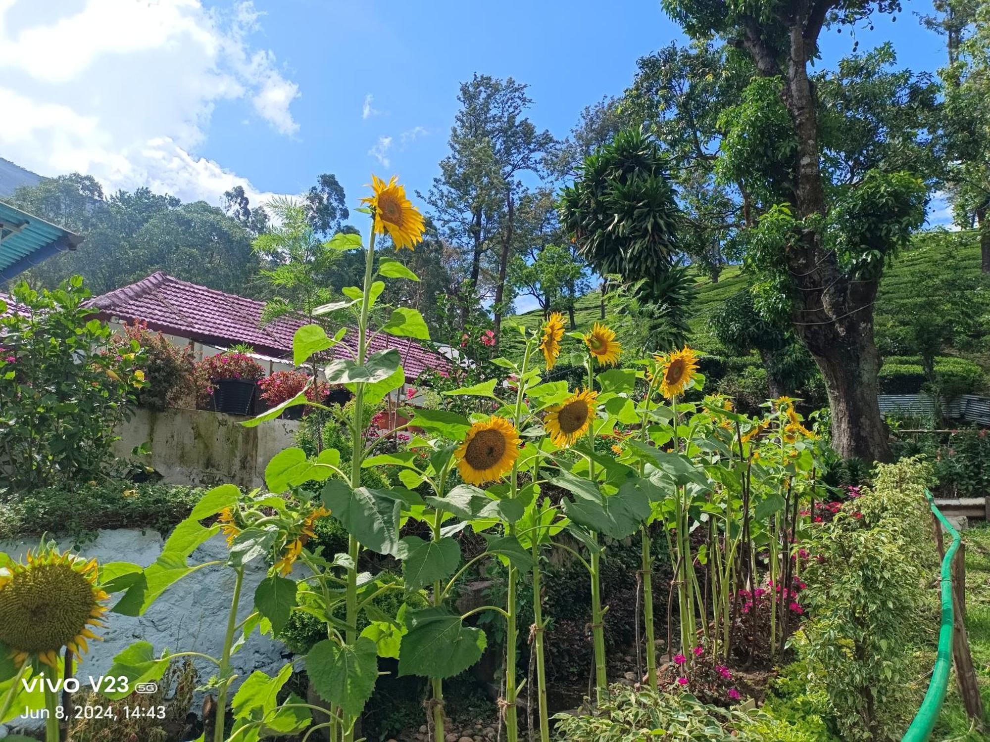 Munnar Home Stay *