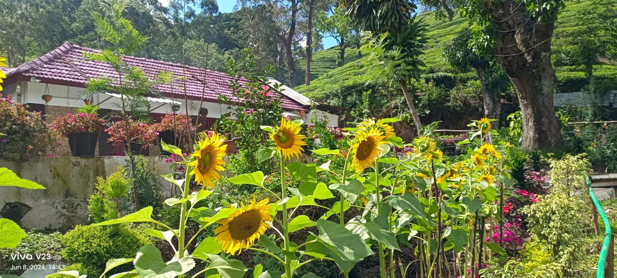 Homestay Munnar Home Stay *