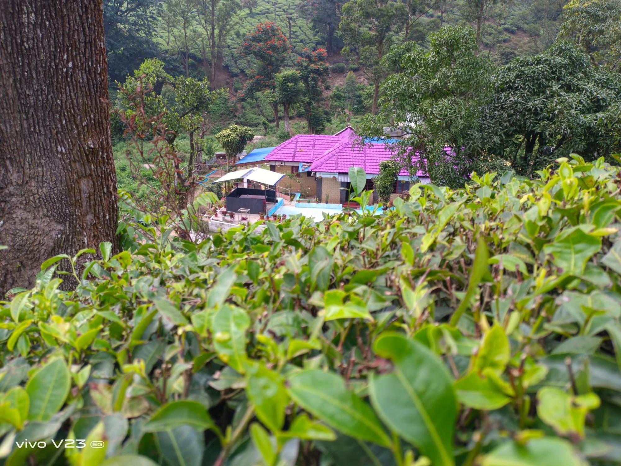 Munnar Home Stay Homestay *
